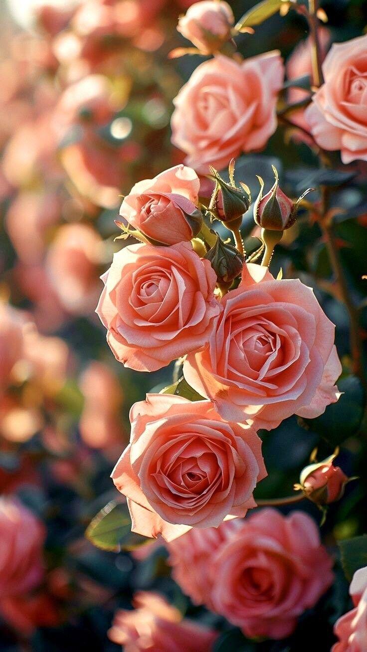 CirclePavilionClear workshop space where corporate flower arrangements are designed and prepared for business delivery